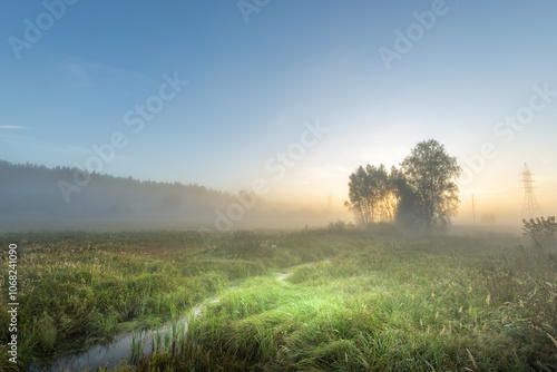 A foggy morning in a field with a tree in the distance