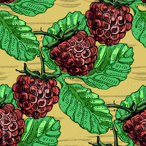 Seamless Pattern with strawberries and raspberries. Color sketch style hand drawn background. Detailed illustration, hand drawn. Great for fabric and textile, prints, invitation, packaging