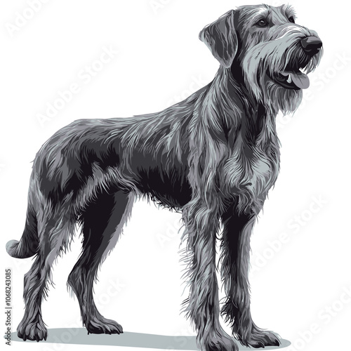 Vector image of a dog breed Irish Terrier on a white background 