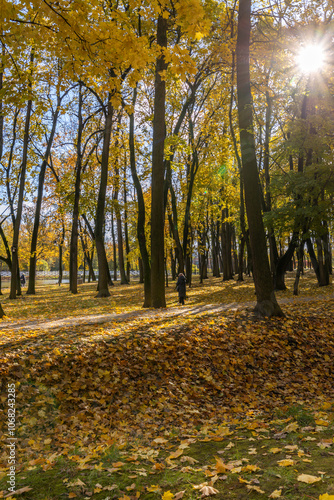 A person is walking through a forest with leaves on the ground