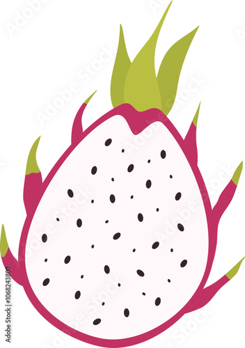 Hand drawn dragon fruit vector flat illustration