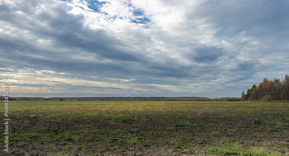 A field with a cloudy sky in the background A field with a cloudy sky in the background