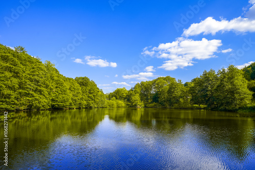 View of the Frankenau fishing pond. Landscape by the water with the surrounding green nature near Frankenau. 