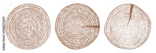 Obraz na płótnie Tree wood texture. Wooden old trunk. Cut timber log. Abstract rings nature pattern. Brown circle stump. Wood cross section. Set vector illustration. EPS 10. w salonie