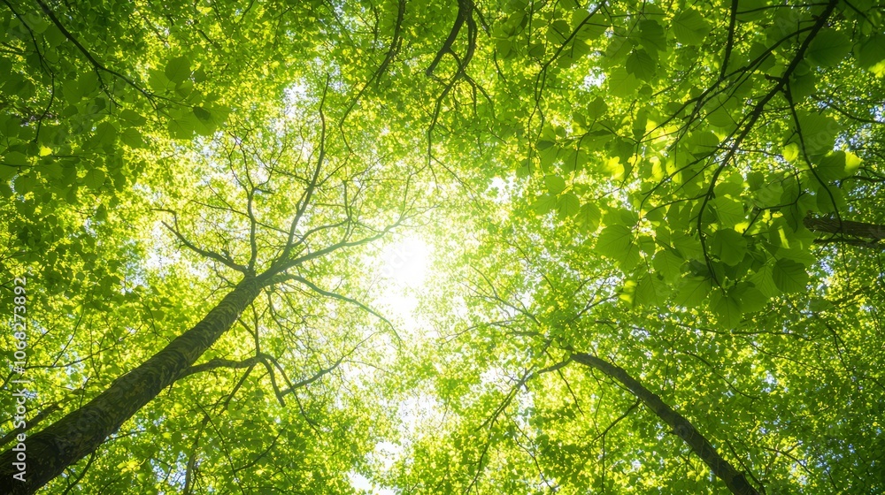 Fototapeta premium Lush Forest Canopy with Sunlight Streaming Through Vibrant Green Leaves - Botanical Beauty from Below