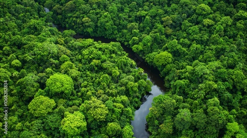 Aerial Paradise: Captivating Rainforest Canopy with Lush Greenery, Meandering Rivers, and Vibrant Blooms | Ultra-Detailed Nature Exploration