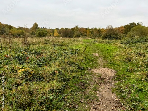 Scrubland with rough ground and bushes in the distance