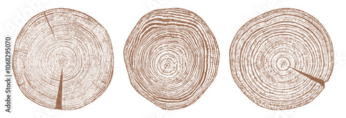 Tree wood texture. Wooden old trunk. Cut timber log. Abstract rings nature pattern. Brown circle stump. Wood cross section. Set vector illustration. EPS 10.