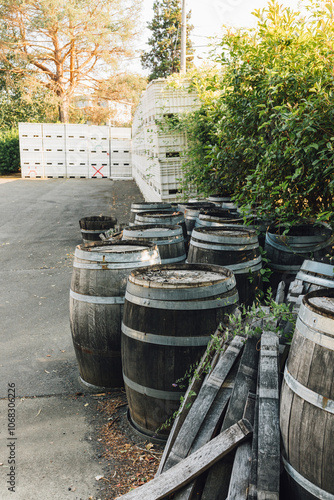 old wooden barrels outside winery photo