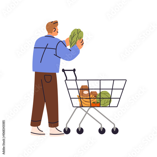 Customer chooses, puts vegetables in cart in grocery store. Buyer with trolley takes products to buy in supermarket. Person shops organic food. Flat isolated vector illustration on white background