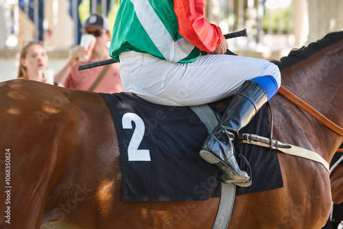 Race horse with jockey detail. Purebred in the hippodrome. Turf