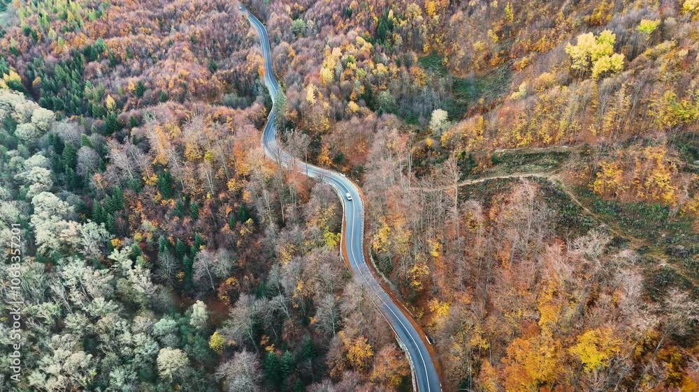 Slow-motion drone shot of car on winding autumn road Slow-motion drone shot of car on winding autumn road