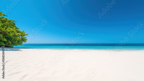 Tropical Beach with Clear Blue Sky and Calm Waters