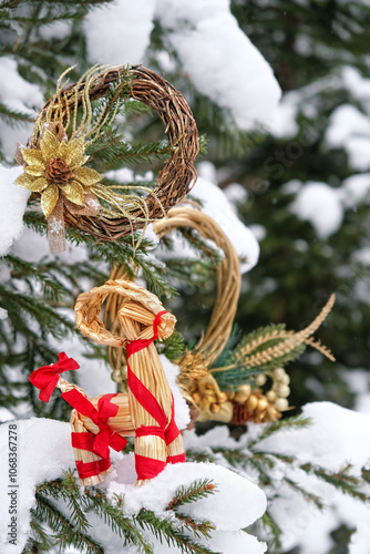 festive winter decor with straw Yule Goat toy on snowy fir tree outdoor. Winter nature background. Symbol of Yule, Christmas holiday. magic ritual, witchcraft for YuleTide, winter solstice.