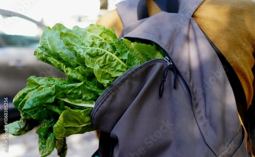 a man carries a gray backpack filled with green salad leaves on his shoulders at a farmer's market photo