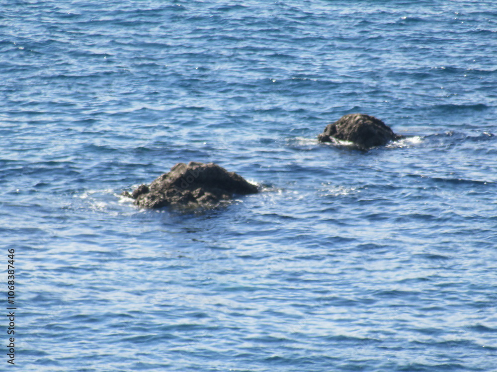 Naklejka premium 海面に顔を出したコブのような岩