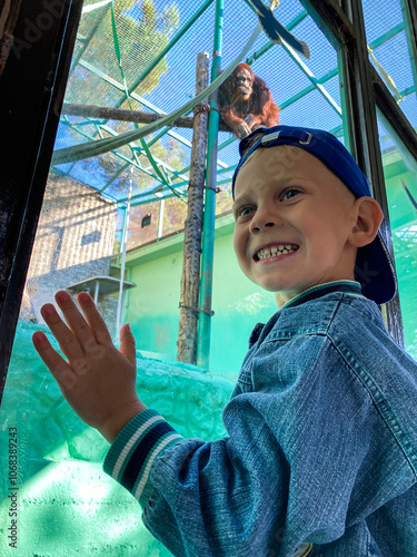 Photography boy in a zoo with chimpanzees