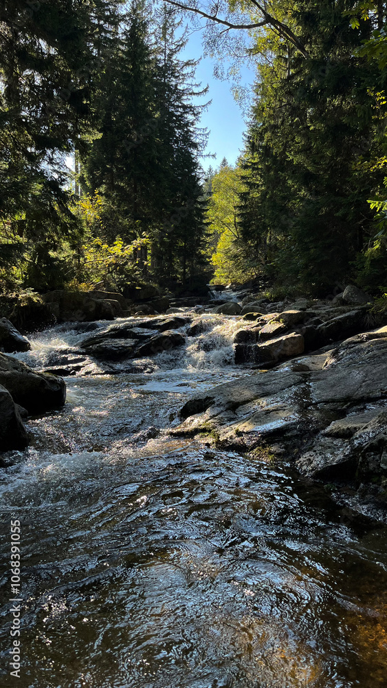 A small mountain river with a flow of water in the Polish mountains. Eastern Sudetes A small mountain river with a flow of water in the Polish mountains. Eastern Sudetes