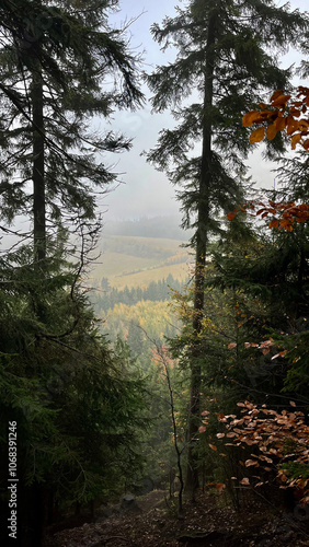 Mountain peak, Waligora covered in fog in autumn, Poland photo