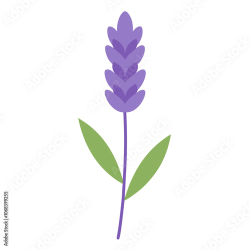 Detailed Lavender Summer Bloomer Vector.