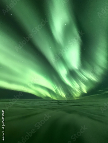 Aurora borealis. Northern lights in winter forest. Sky with polar lights and stars. Night winter landscape with aurora and pine tree forest. Travel concept
