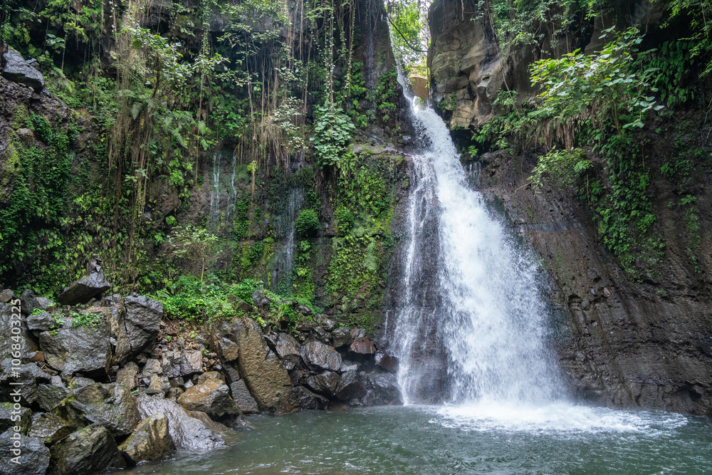 A waterfall amidst a lush green forest, Mount Kilimanjaro, Tanzania A waterfall amidst a lush green forest, Mount Kilimanjaro, Tanzania