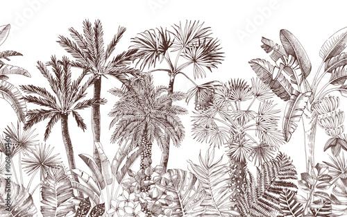 Jungle seamless border with palms and leaves