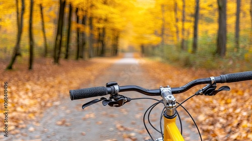 Experience the adventure of mountain biking through vibrant autumn foliage on a peaceful forest trail