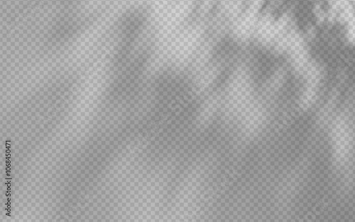 Abstract shadow overlay from foliage on a transparent background.
