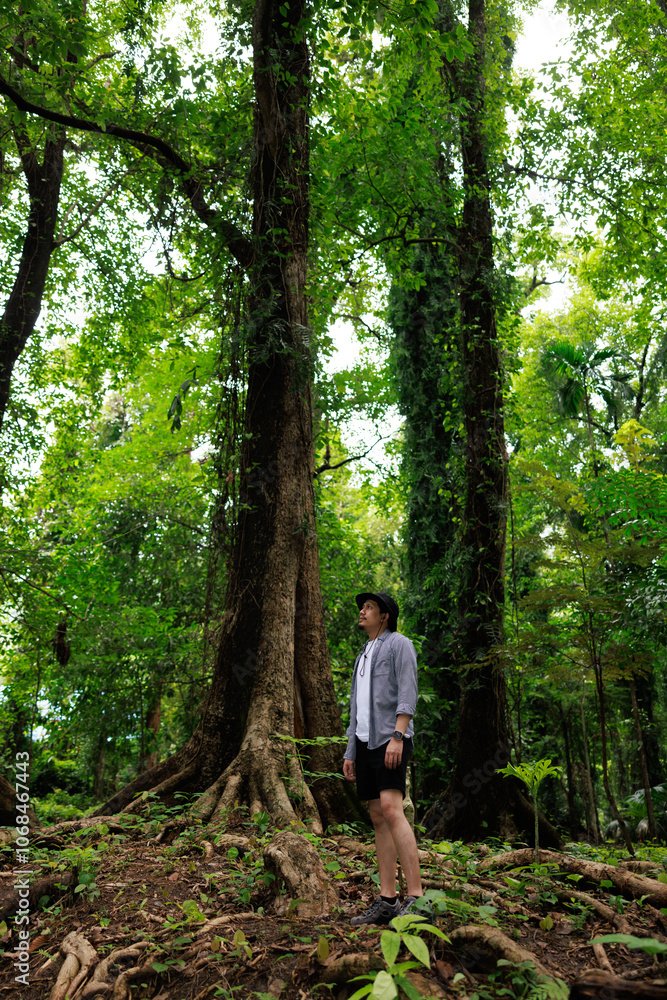 Young man standing under large tree looking up Young man standing under large tree looking up