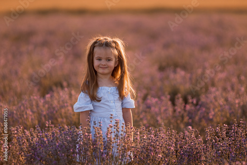 Little girl in in white and blue dress across field of purple lavender among the rows at sunset.