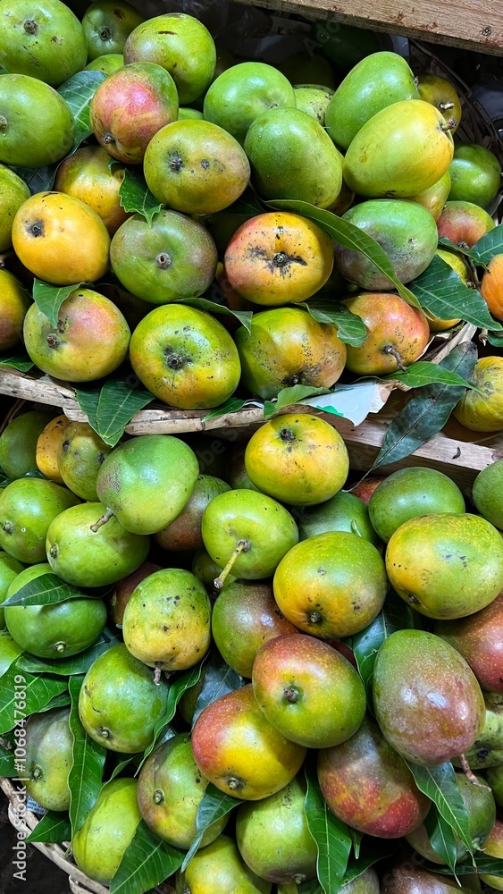 Mango fruits in a basket on the farmer market. Green mangoes on shelves. Mauritius, Africa Mango fruits in a basket on the farmer market. Green mangoes on shelves. Mauritius, Africa