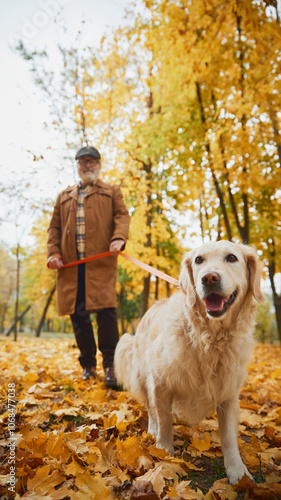 Fényképezés Cozy autumn scene, with stylish dressed elderly man and his loyal golden retriever strolling through vibrant leaves
