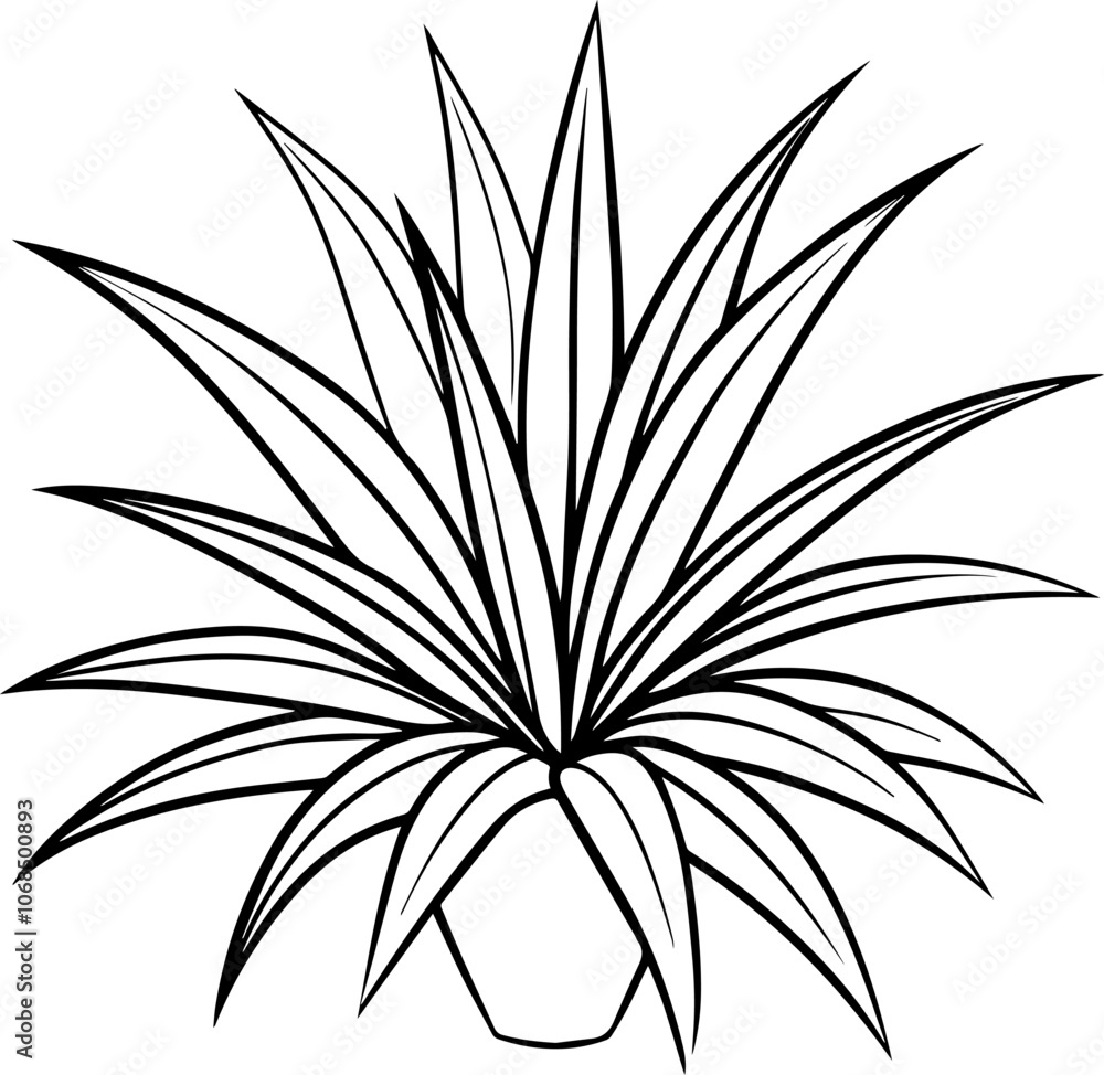 yucca plant outline coloring book page line art vector illustration ...