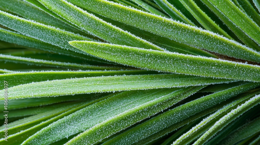 Close-up of vibrant green plant leaves with a dewy texture, showcasing their natural freshness and intricate details. Close-up of vibrant green plant leaves with a dewy texture, showcasing their natural freshness and intricate details.