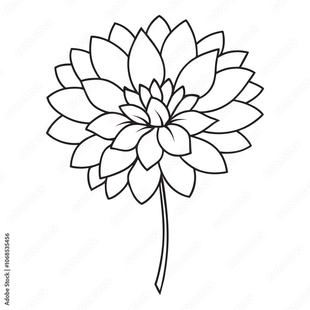 illustration of a chrysanthemum flower, chrysanthemum flower isolated on a white background illustration of a chrysanthemum flower, chrysanthemum flower isolated on a white background