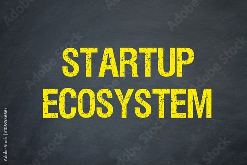 Startup Ecosystem	
 photo