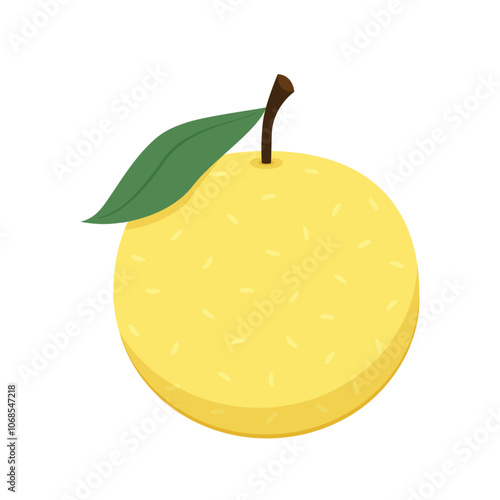 Asian pear whole fruit and half isolated on white background. Vector illustration of tropical exotic fruits in flat style.