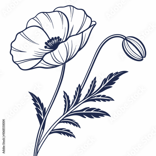 Poppy flower  vector illustration 
