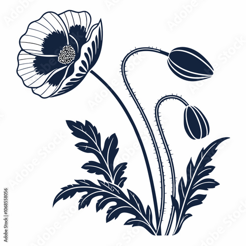 Poppy flower  vector illustration 