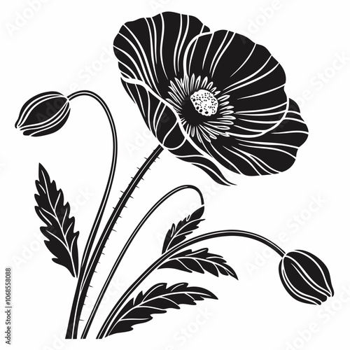 Poppy flower silhouette vector illustration 
