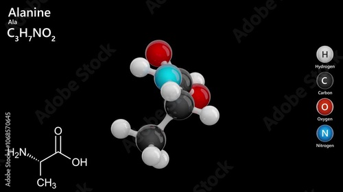 Alanine or Ala. Non-essential amino acid. Animated 3D model of a molecule. Molecular formula: C3H7NO2. Chemical model: Ball and stick. Black background. 3D rendering. Seamless loop. photo