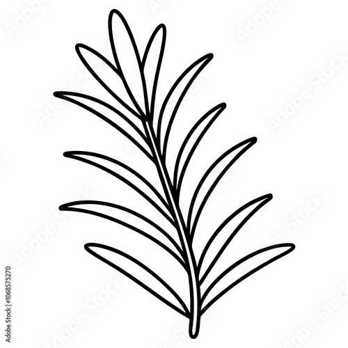 Line art of a Rosemary icon. Vector illustration 
