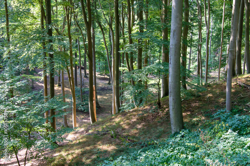 Idyllic view of Feldberger Seenlandschaft in Germany photo