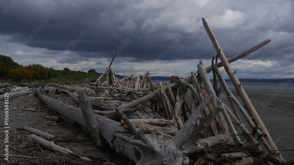 Large, long pile of bleached driftwood on a beach near Olympic National Park under stormy skies Large, long pile of bleached driftwood on a beach near Olympic National Park under stormy skies