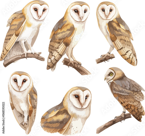 owl watercolor clipart photo