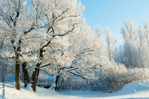 Winter wonderland landscape, snowy winter trees covered with ice and frost in sunny day. Wonderland winter forest photo