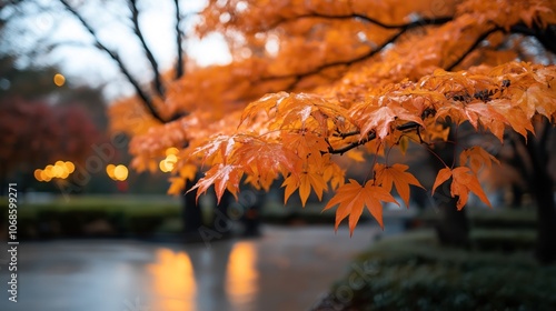 Close-up of vibrant orange autumn leaves on a tree branch in a park with a blurred background filled with warm bokeh lights and trees. photo