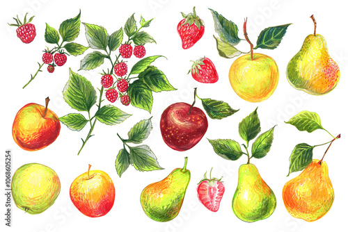 Food Illustrations Vegetables and fruits Colored Pencils. Clipart Sketches of Food. Raspberry, apple, pear, strawberry