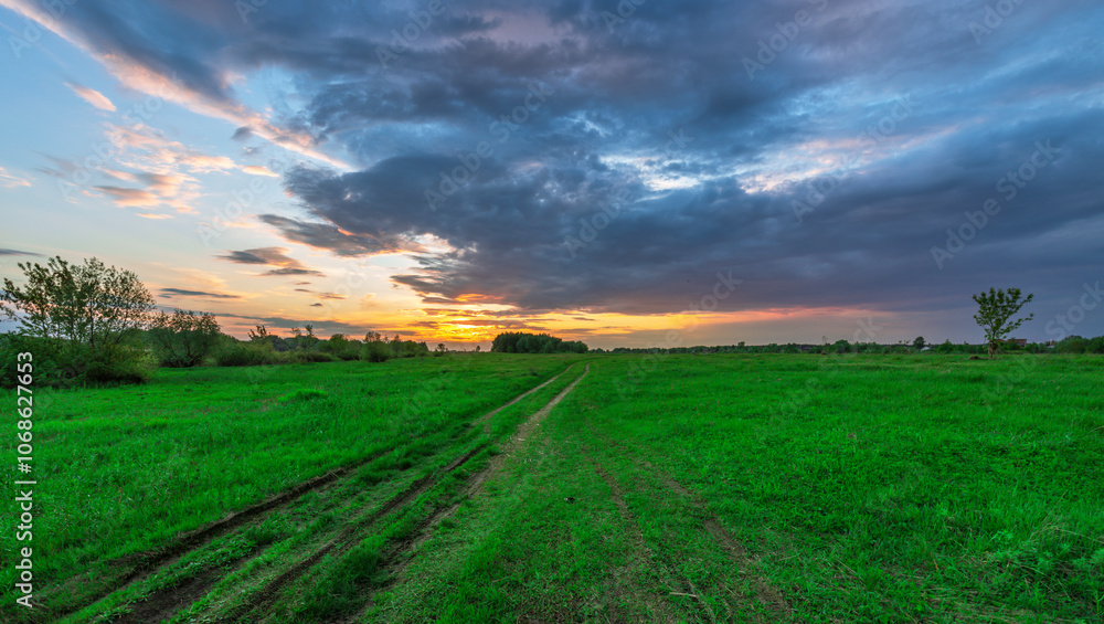 Fototapeta premium Field with a dirt road in the middle and a cloudy sky